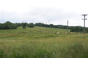 Celkový pohľad na lokalitu